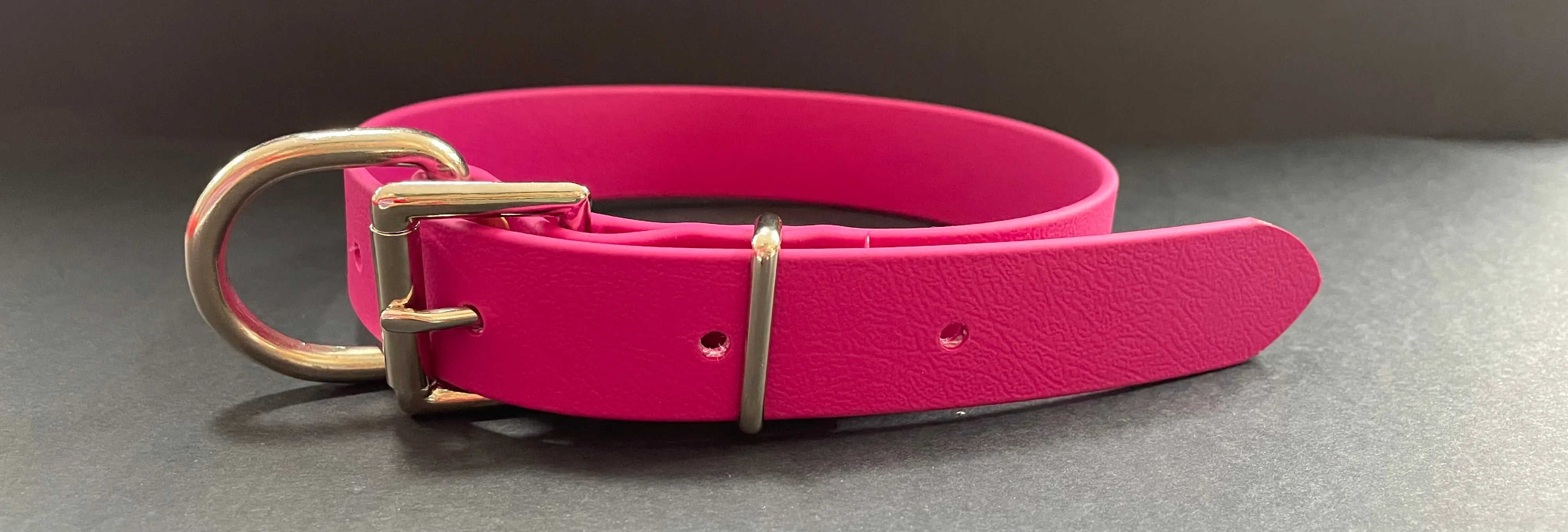 Biothane Dog Collars (25mm)