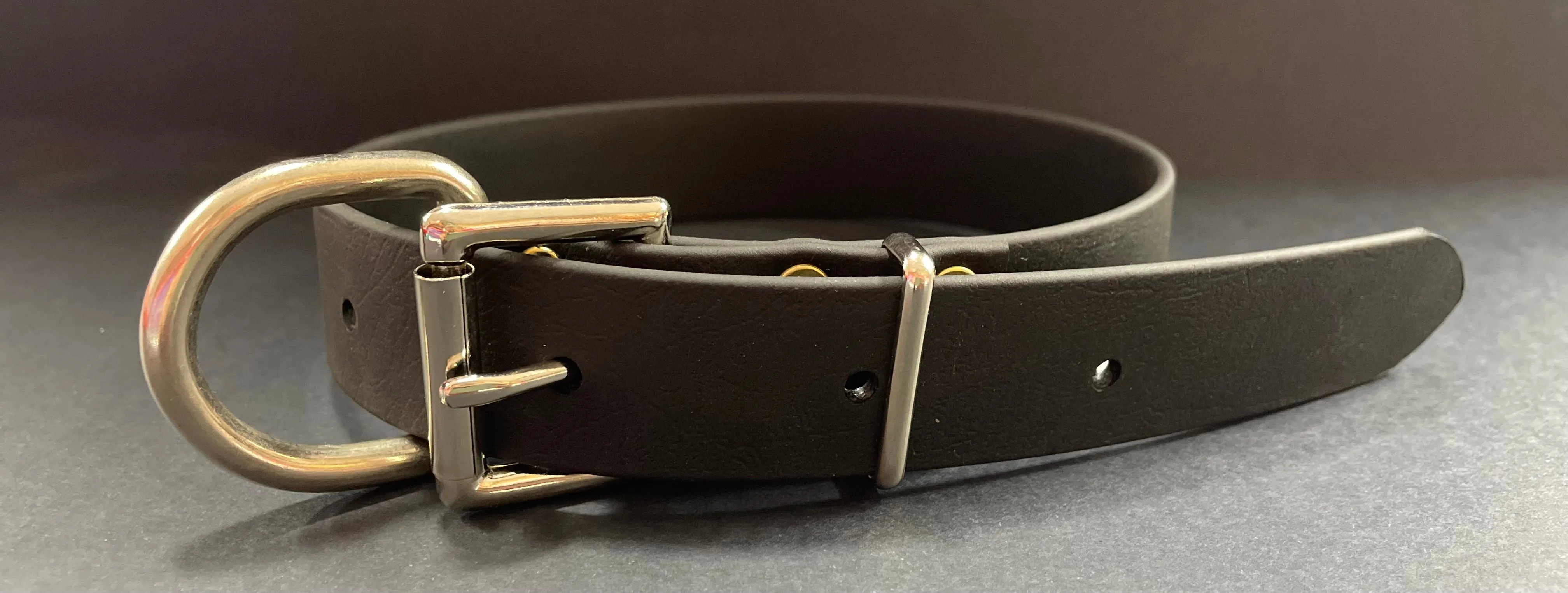 Biothane Dog Collars (25mm)