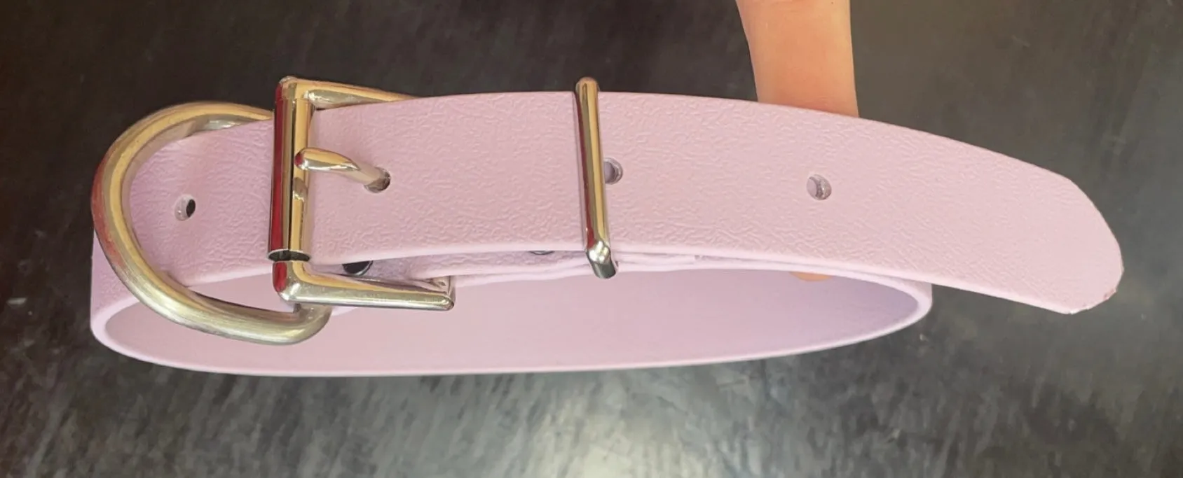Biothane Dog Collars (25mm)