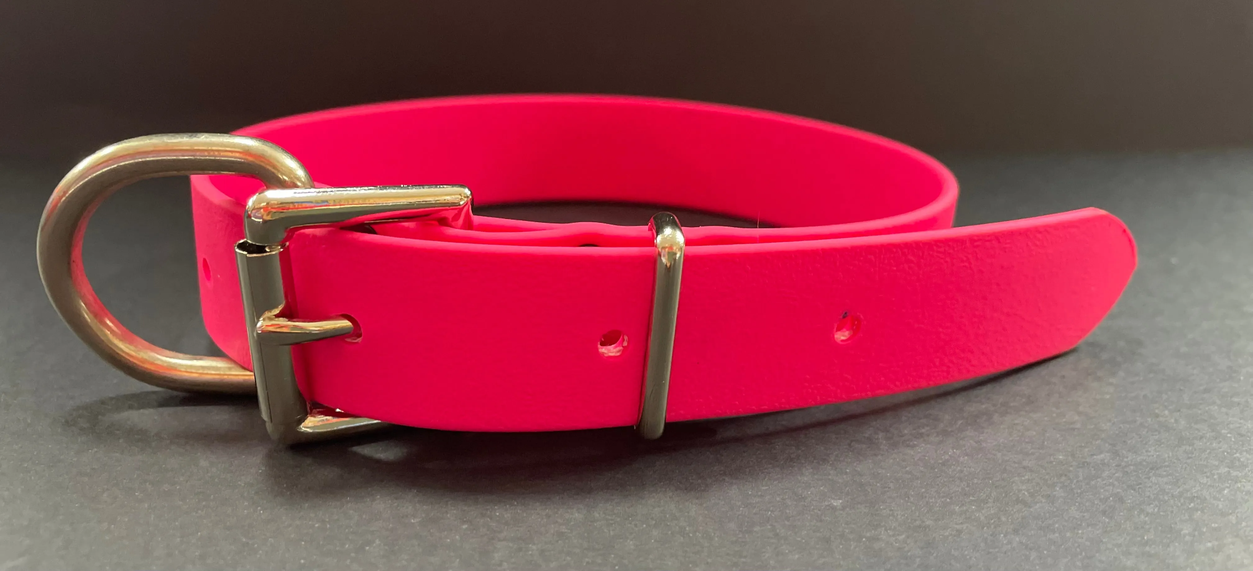 Biothane Dog Collars (25mm)