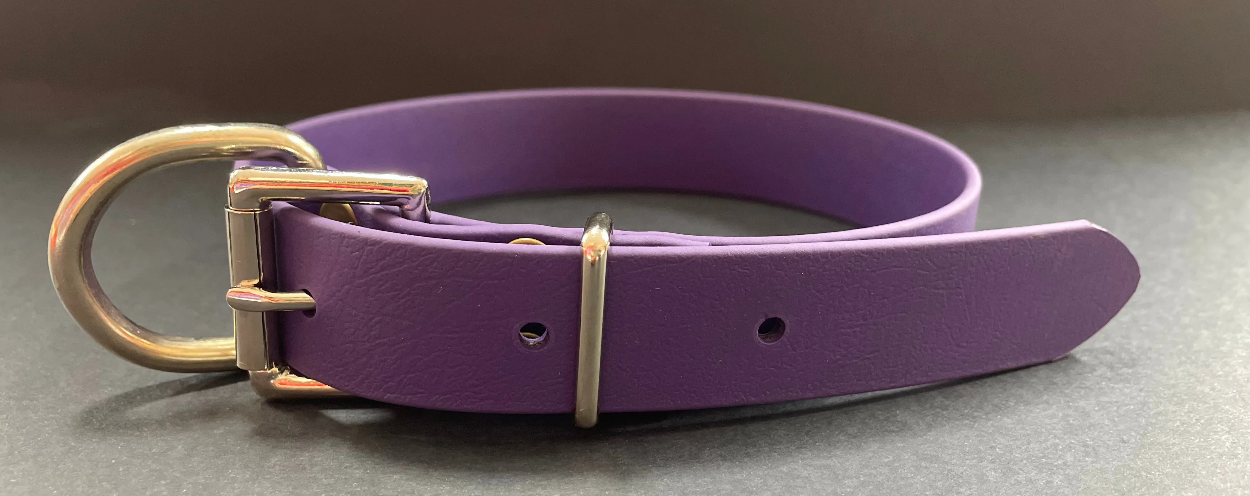 Biothane Dog Collars (25mm)