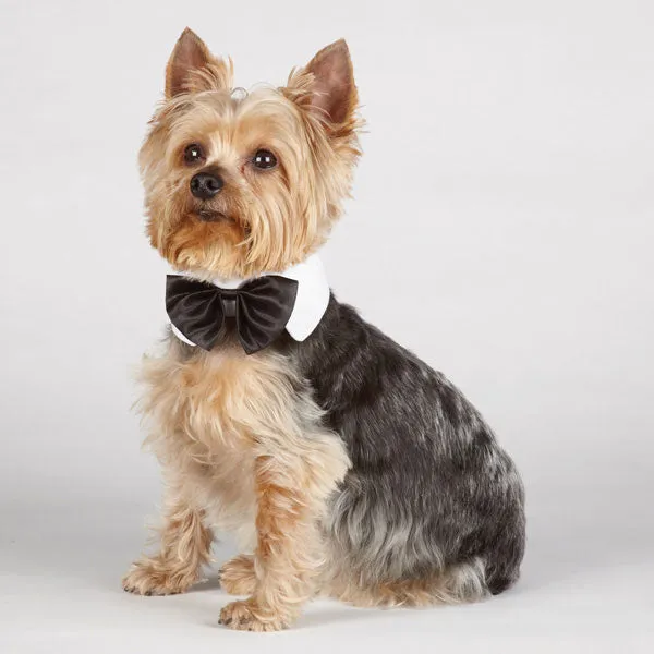 Black Bow Tie White Collar Size Small