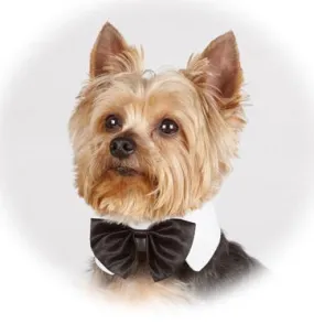 Black Bow Tie White Collar Size Small