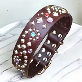 Custom Leather Dog Collar Stargazer Deluxe