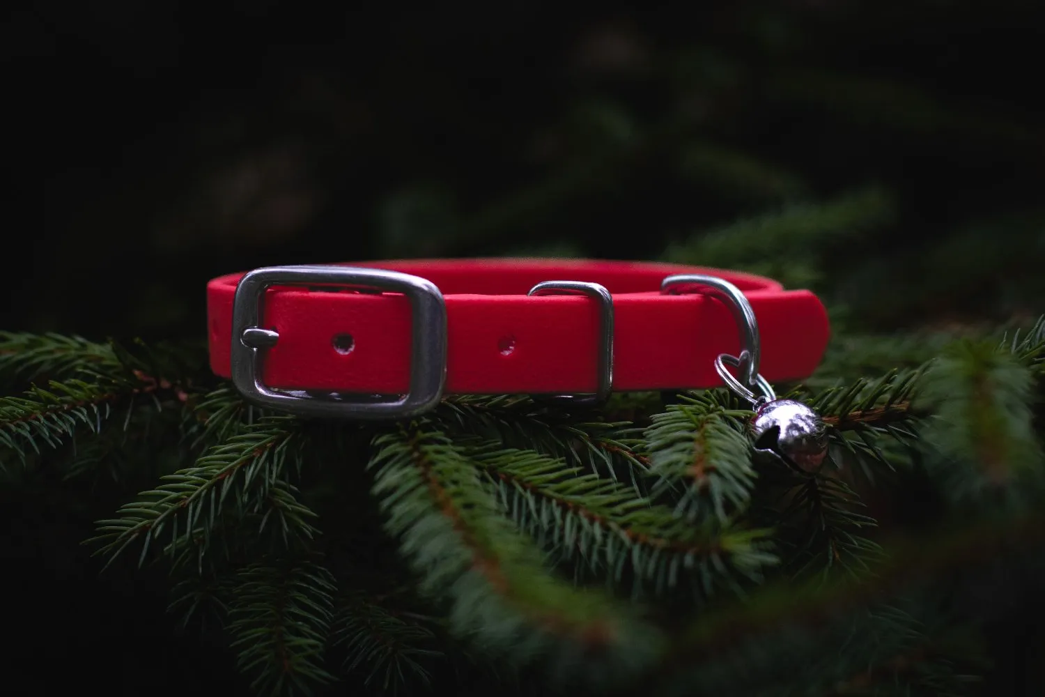 Exclusive Waterproof BioThane Mini Christmas Jingle Bell Dog Collar