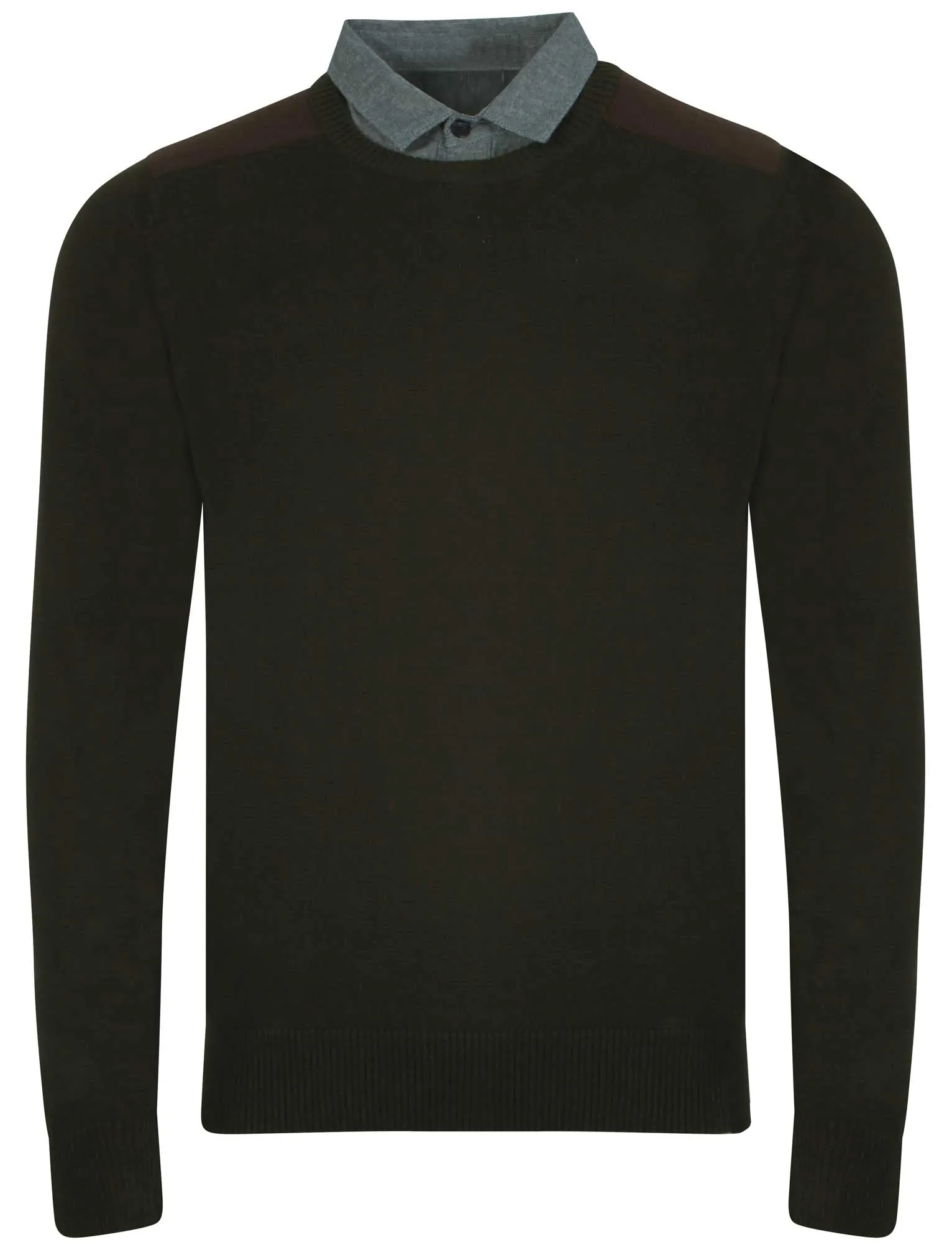 Le Shark  Roxton Thunder Jumper