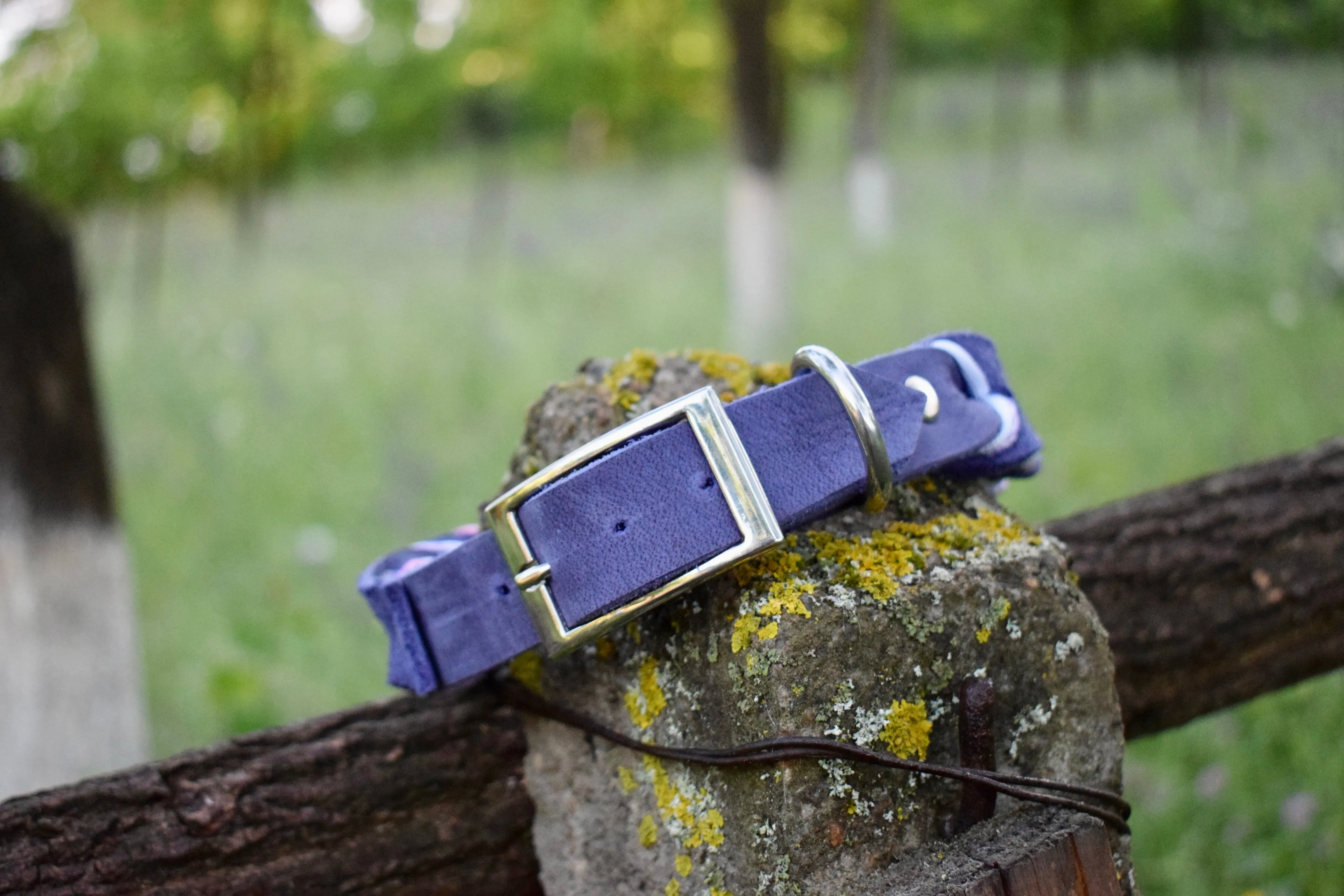 Leather collar with paracord