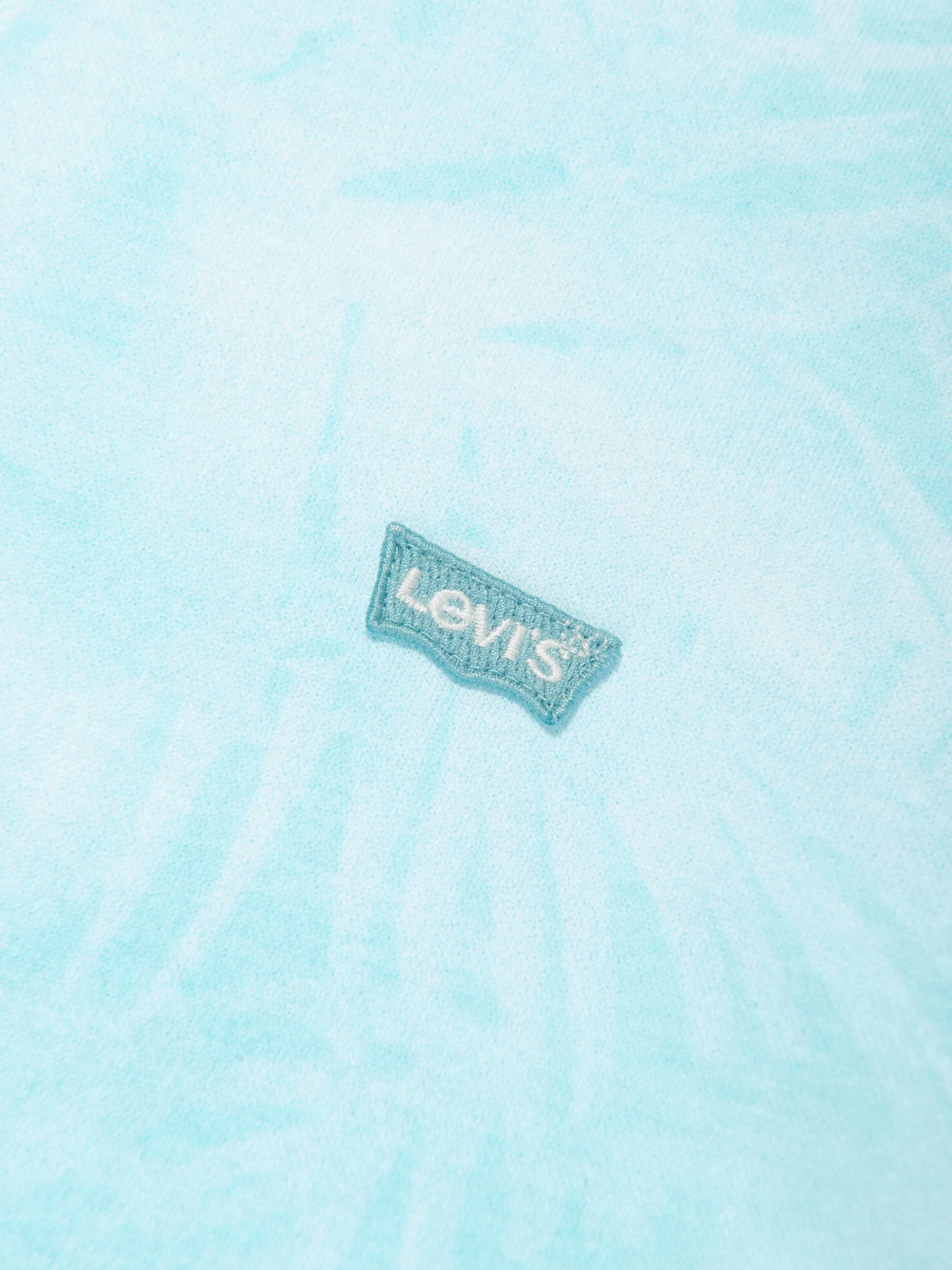 Levi's Boys Barely There Palm T-Shirt in Blue