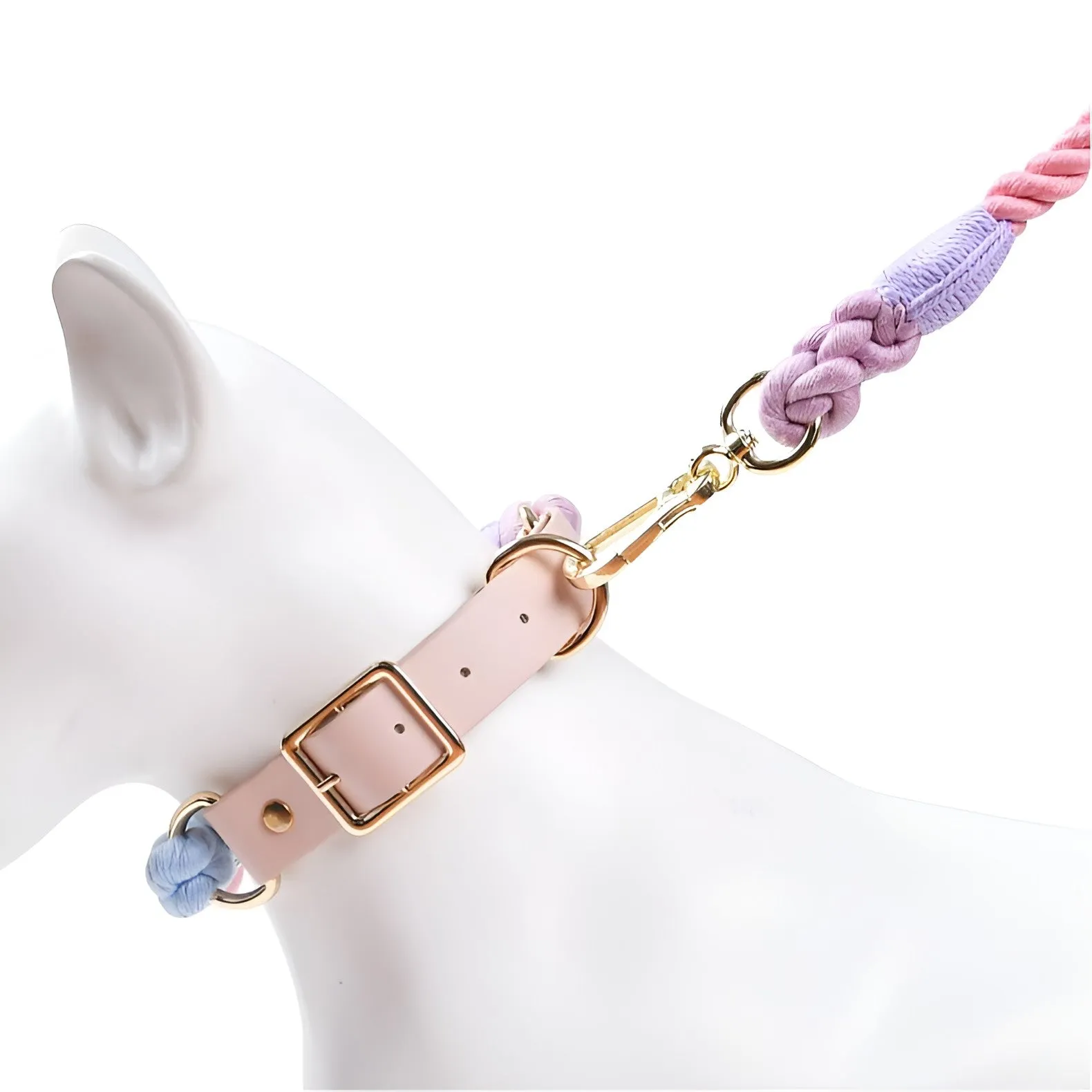 Loofie Colorful Dog Collar & Leash - Eco-friendly, Bright, and Durable