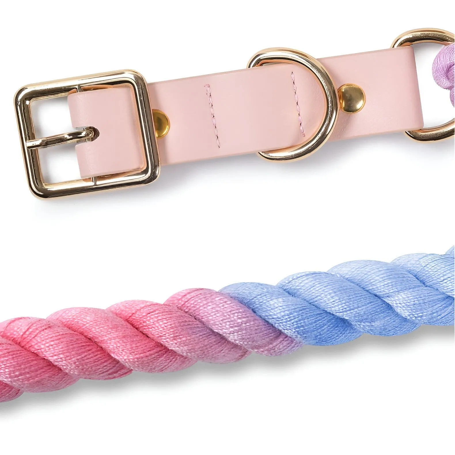 Loofie Colorful Dog Collar & Leash - Eco-friendly, Bright, and Durable