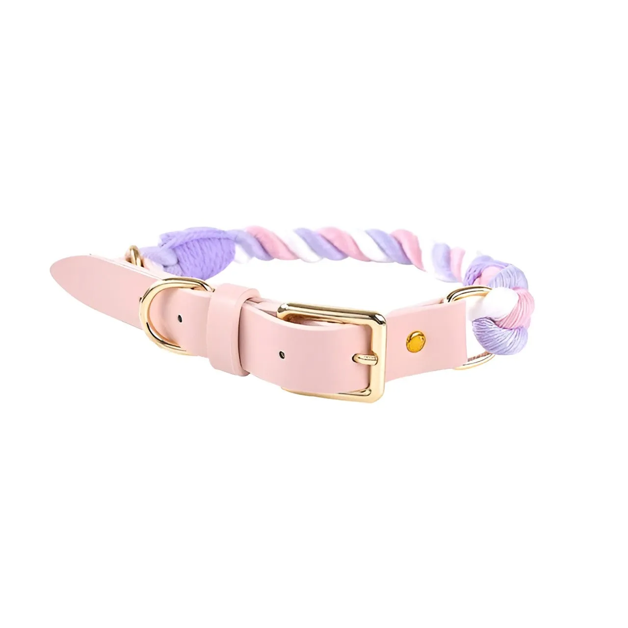 Loofie Colorful Dog Collar & Leash - Eco-friendly, Bright, and Durable