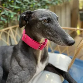 Magenta Pink martingale collar - Water resistant