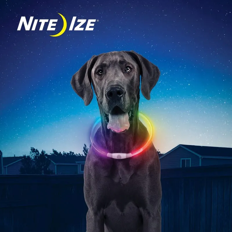 Nite Ize Disc-O Select Rechargeable LED Safety Necklace