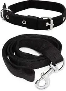 Nylon pp Collar and Leash
