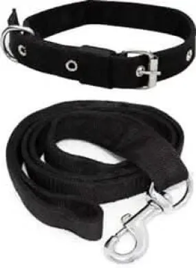 Nylon pp Collar and Leash