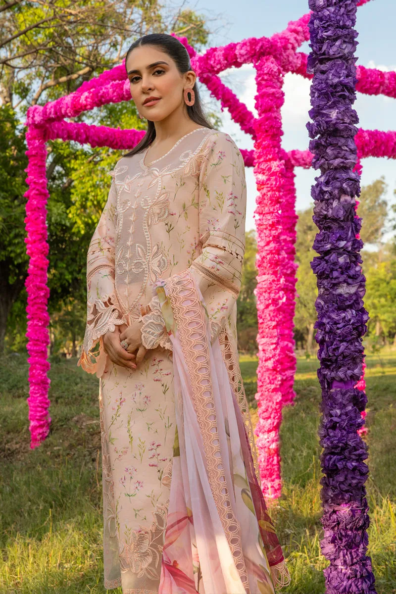 Rang Rasiya Carnation Festive Edit Lawn – Lily