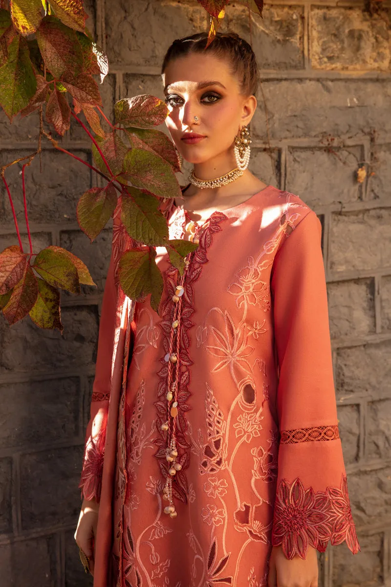 Rang Rasiya Premium Winter Collection 2023 – Zufash