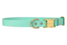 Seafoam Biothane Collar