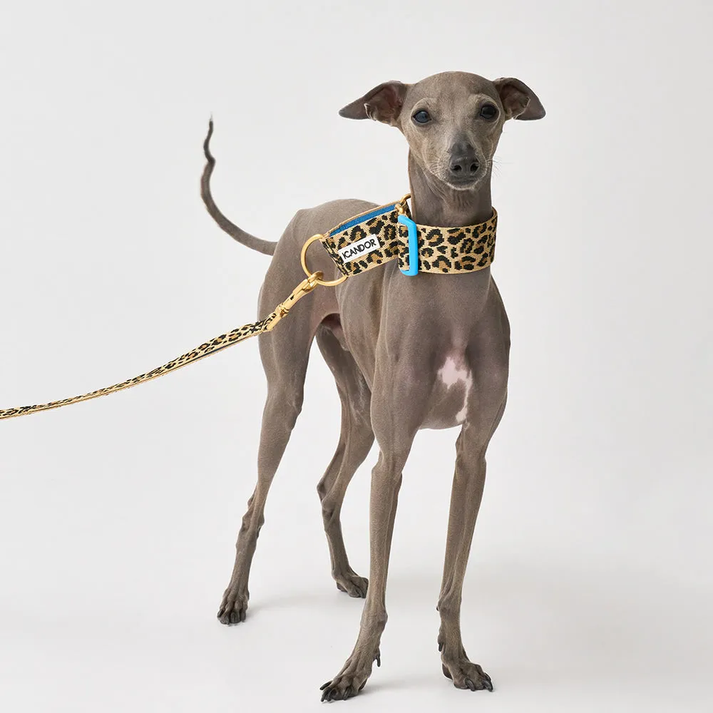 Smooth Martingale Collar 38mm (Leopard)