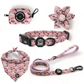 Tasty Donuts - Deluxe Collar Set
