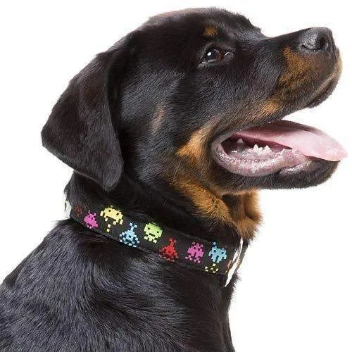 The Dog Collar By FuzzYard - Space Raiders