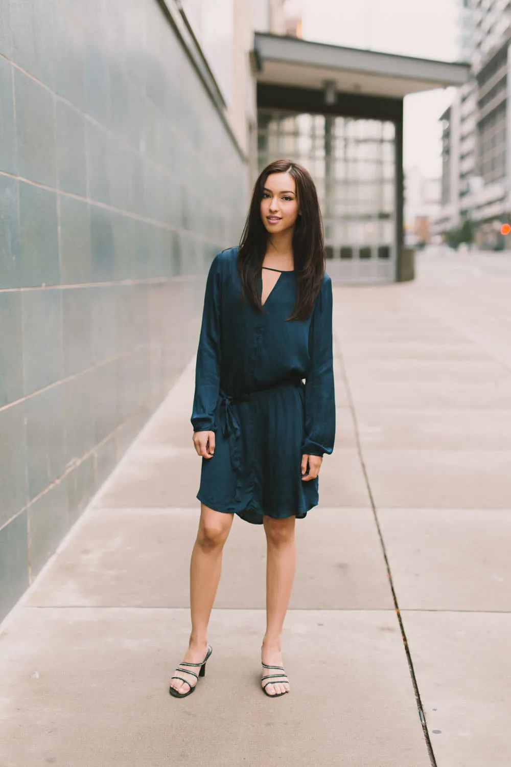 Velvet by Graham & Spencer Amorita Satin V Neck Dress